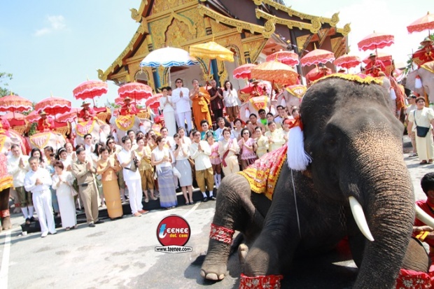 อลังการงานช้าง!! ขวัญ อุษามณี ร่วมทอดกฐิน วัดท่าไม้