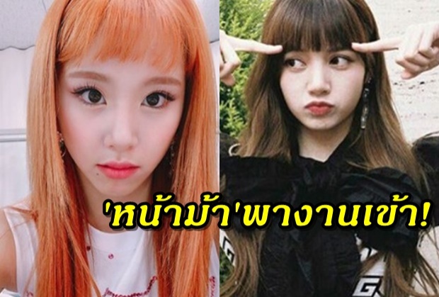 แฟนคลับเปิดศึก! เพราะหน้าม้าของ แชยอง TWICE และ ลิซ่า BLACKPINK