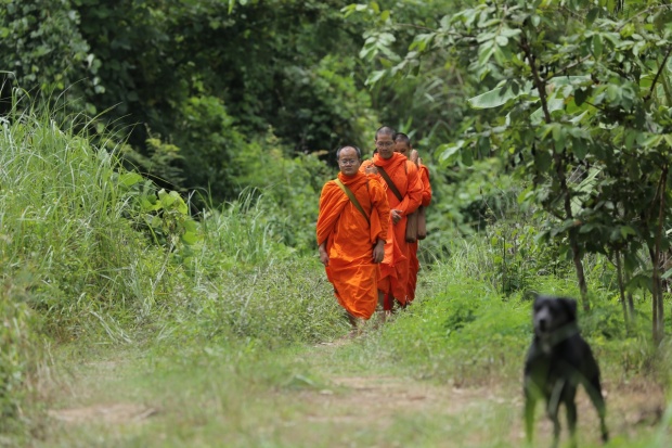 1 เดือนกับชีวิตใต้ร่มกาสาวพัสตร์ของ พระวู้ดดี้ คนดู