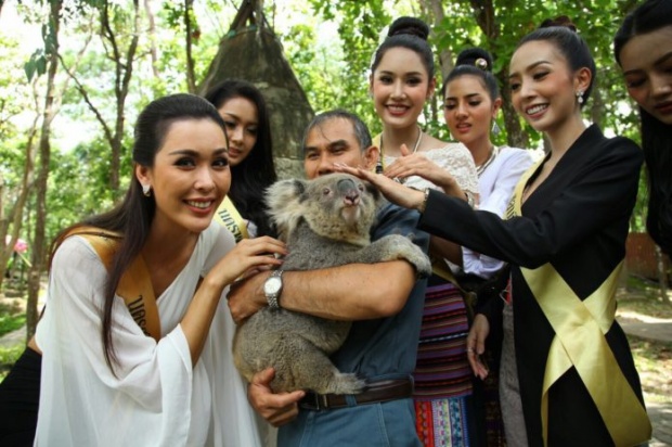 จัดเต็มความสวย!!! 77 สาวงามมิสแกรนด์ถึงเชียงใหม่แล้ว! พร้อมสักการะขอพรครูบาศรีวิชัย