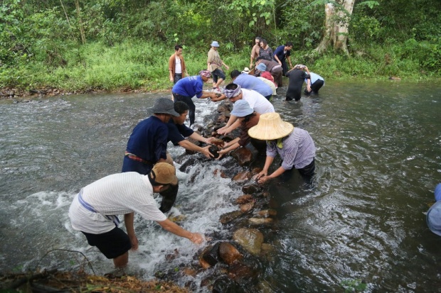 เรื่องย่อละครเทิดพระเกียรติ ฝายน้ำใจ