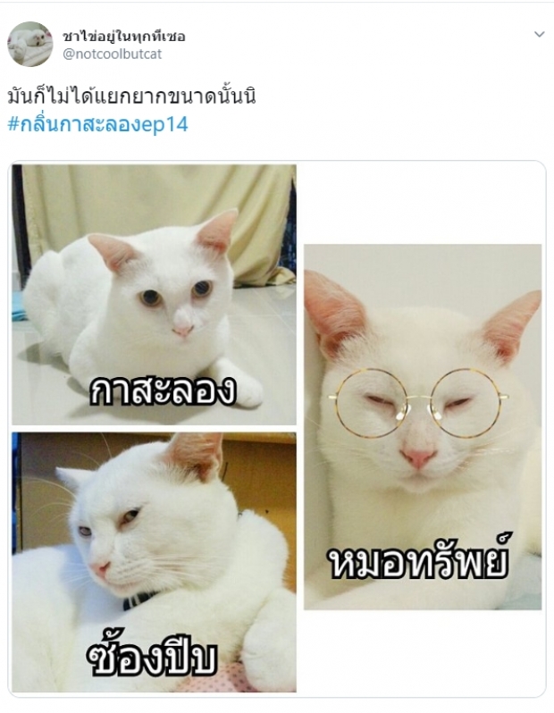 ชาวเน็ตด่าแหลก! หมอทรัพย์ ทำไมยังแยกไม่ออก คนไหนเมีย