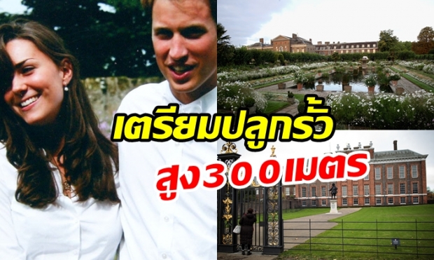  เตรียมปลูกรั้ว 300 เมตร เพื่อความเป็นส่วนพระองค์ของเจ้าชายวิลเลียม