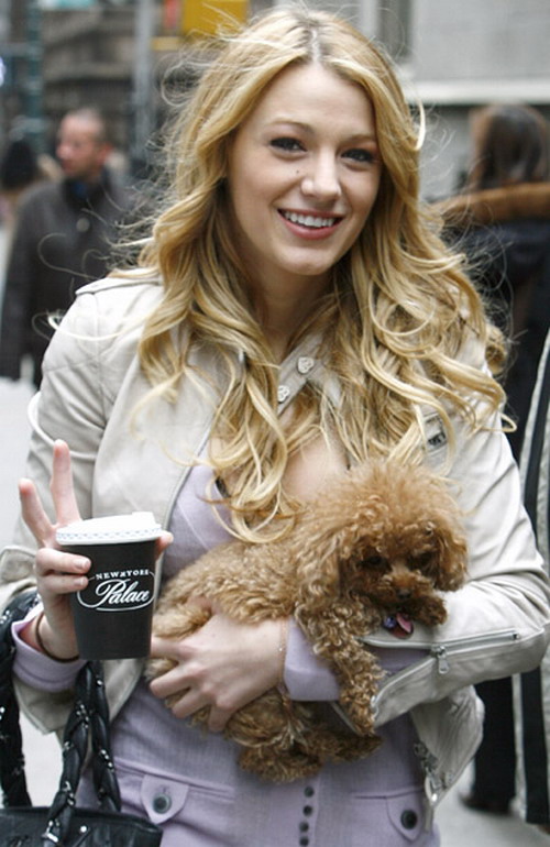 Blake Lively กับเจ้าเพนนี 