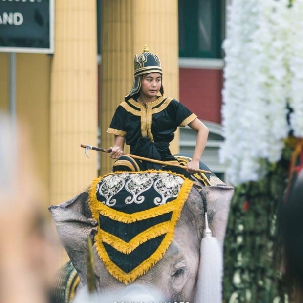 เจอแล้ว!!! หมอพลอย ควาญช้างหญิง ผู้ร่วมถวายสักการะพระบรมศพ