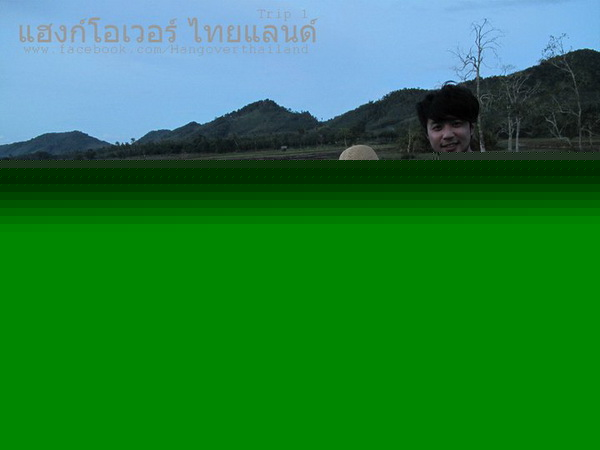 เต้ย