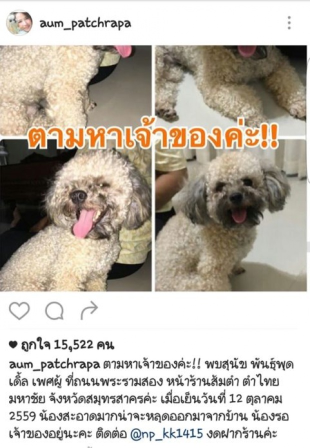 “อั้ม”สานภารกิจสาวใจบุญ ประกาศหาเจ้าของน้องหมาพลัดหลง