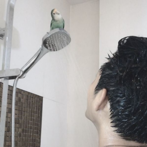เมื่อ ตู่ ภพธร โชว์อาบน้ำกับนก แต่คนไม่ได้โฟกัสที่นกเลยสักนิด!! (มีคลิป)