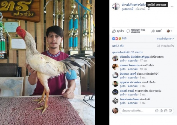 มาดู น้ำ รพีภัทร ประกาศขายไก่ชน ราคาเท่านี้ สนใจอินบ๊อกได้!