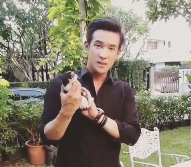 จ๋า ยศสินี อึ้ง!! อยู่ๆ เจมส์ มาร์ วิ่งมุดรั้ว-บ้านแทบพัง(คลิป)