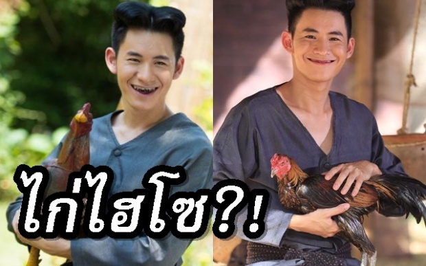 รู้แล้วต้องอึ้ง!! เปิดโปรไฟล์ “ไก่คู่ใจ ไอ้จ้อย” ประวัติไม่ธรรมดา ต้องเรียกว่าไก่ไฮโซ!