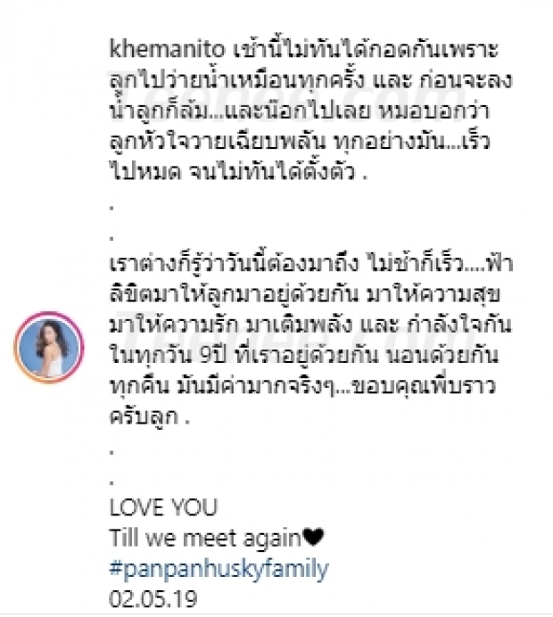 “แพนเค้ก เขมนิจ” โพสต์ซึ้งอาลัยถึง  “น้องบราว์” เจ้าสี่ขาหลังน้องหมาหัวใจวายเฉียบพลัน 