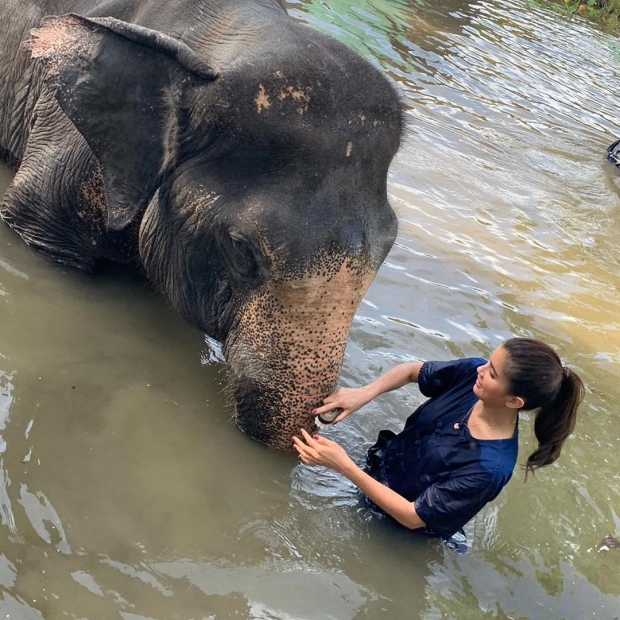 อบอุ่นจัง! ปู ไปรยา กับโมเมนต์น่ารัก อาบน้ำน้องช้าง บอก อยากให้ทุกคนอนุรักษ์ช้างไทย