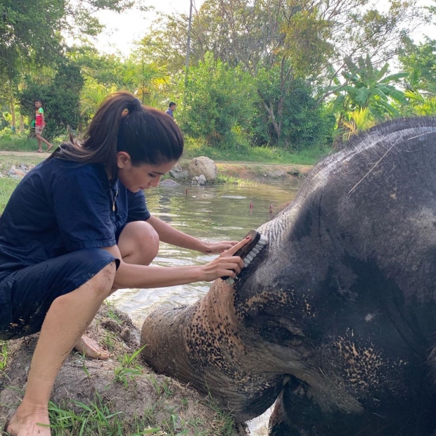 อบอุ่นจัง! ปู ไปรยา กับโมเมนต์น่ารัก อาบน้ำน้องช้าง บอก อยากให้ทุกคนอนุรักษ์ช้างไทย