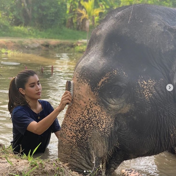 อบอุ่นจัง! ปู ไปรยา กับโมเมนต์น่ารัก อาบน้ำน้องช้าง บอก อยากให้ทุกคนอนุรักษ์ช้างไทย