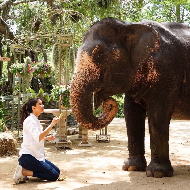 อบอุ่นจัง! ปู ไปรยา กับโมเมนต์น่ารัก อาบน้ำน้องช้าง บอก อยากให้ทุกคนอนุรักษ์ช้างไทย