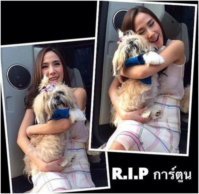 รัก และ ผูกพันธ์ ซุปตาร์อั้ม ทำบุญครบรอบการตายของน้องหมาสุดเลิฟ