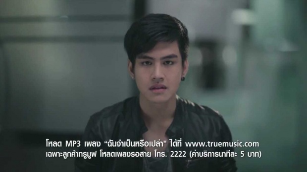 ด่วน !! จับเอิร์ท AF9 ลักลอบปลูกและผลิตต้นกัญชาจำนวนมาก!??