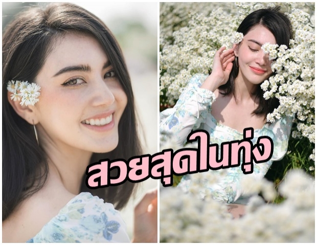 เเจกความสดใส! ใหม่ ดาวิกา เช็คอินทุ่งดอกไม้ยอดฮิต ยิ้มเเบบนี้พาใจสั่น 