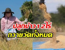  ชื่นชมนางเอกใจบุญ ปลูกข้าว12ไร่ถวายให้วัดทั้งหมด