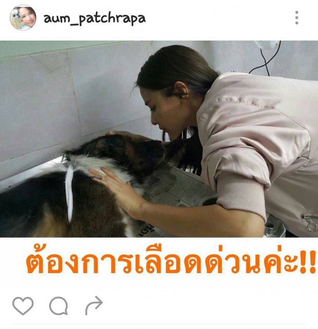  ปุ๊กลุ๊ก ซึ้ง!! จนถึงขั้นรัวกราบ ! หลัง อั้ม พัชราภา ทำสิ่งนี้ให้!!