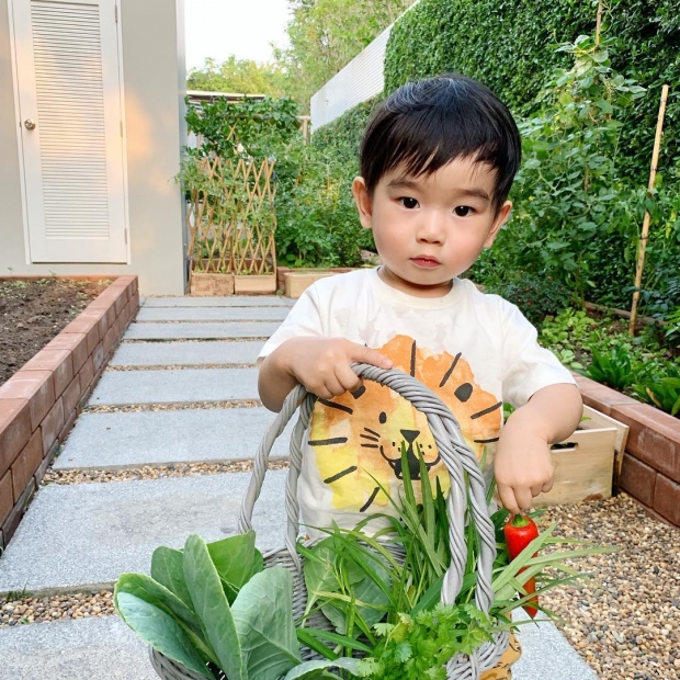 “เนย โชติกา” เผยกลางรายการดังว่าตน  “ปลูกสิ่งนี้” ทานเองที่บ้าน