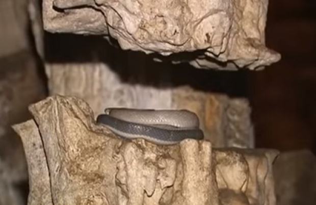 ส่องถ้ำลี้ลับ! ที่ใช้ถ่ายทำ นาคี  แอบผวา มี งูใหญ่ เฝ้าถ้ำอยู่!