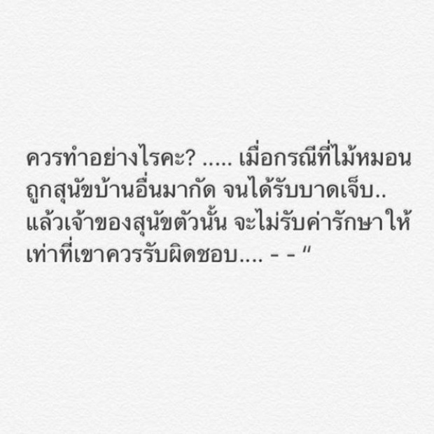 นางเอกสาวเดือด!! โร่แจ้งความ หมา 3 ขาตัวโปรดโดนกัดในบ้าน แต่คู่กรณีไม่รับผิดชอบ!!