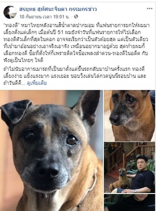 สรยุทธ เศร้า สูญเสียทองดีสุนัขแสนรัก สุดผูกพันเลี้ยงมาตั้งแต่เล็ก