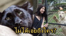 เปิดคำพูดเด็ด!! มิ้นต์ เผยถึงจำนวนเสือดำในป่าไทย ไม่อยากพูดถึงใคร อย่าเขาต้องตายฟรี!