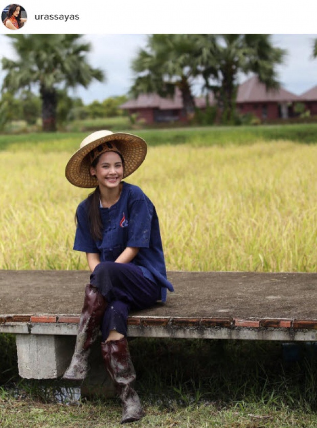 สวยลั่นทุ่งนา ญาญ่า อุรัสยา ลงทุนดำนาเกี่ยวข้าวครั้งแรกในชีวิต