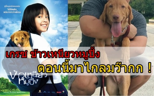 จำได้ไหม? เกรซ ข้าวเหนียวหมูปิ้ง ตอนนี้เธอกลายเป็นแบบนี้ไปแล้ว