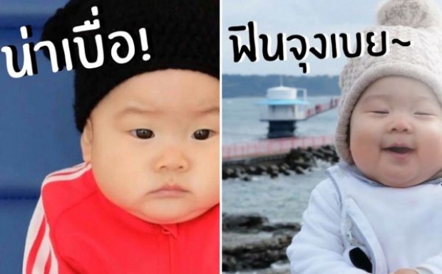 แชร์สนั่น !! สติ๊กเกอร์เป่าเปา ชาวเน็ตฮากระจาย ไม่ดูนี่พลาดมาก