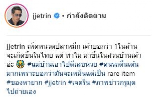 “เจ เจตริน” โพสต์โชว์ เห็ดหายากติดอันดับโลกโผล่ที่บ้าน คนแห่ตีเลข!! ขอเลขที่บ้าน