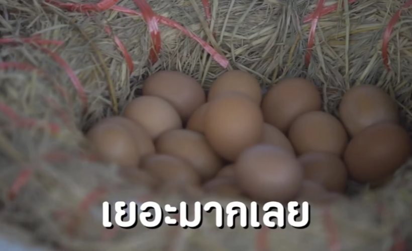 ซี - เอมี่