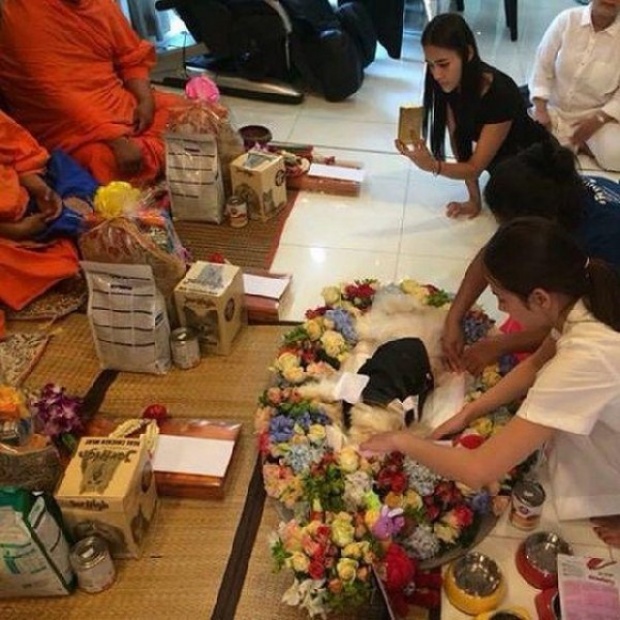  ‘อั้ม’  บินด่วนกลับจาก ปารีส เพราะ ‘น้องหมา’ เสีย พร้อม โพสต์ข้อความสุดสะเทือนใจ!