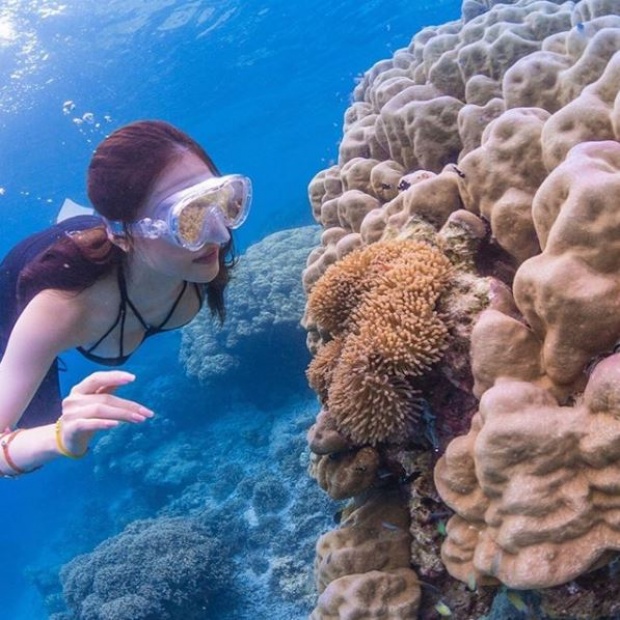 เงือกสาวแห่งใต้ท้องทะเล!! “เกรซ กาญจน์เกล้า” จัดทริปดำน้ำดูปะการัง ทำเอาหมู่เกาะสิมิลันเดือด!!
