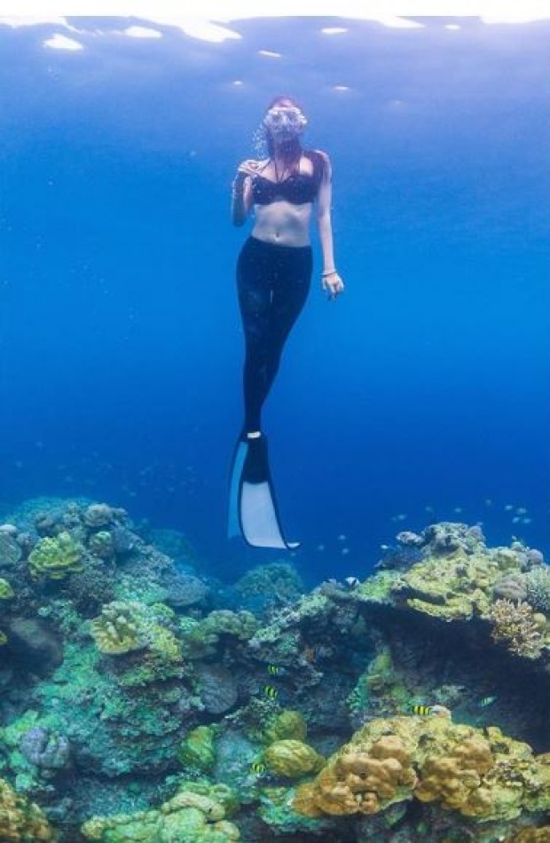 เงือกสาวแห่งใต้ท้องทะเล!! “เกรซ กาญจน์เกล้า” จัดทริปดำน้ำดูปะการัง ทำเอาหมู่เกาะสิมิลันเดือด!!