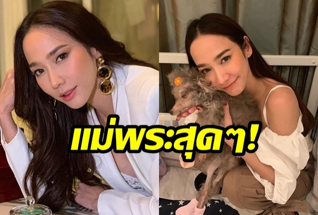 ชาวเน็ตแห่ชื่นชม! หลัง “อั้ม พัชราภา” โพสต์ไอจีให้กำลังน้องหมา พร้อมให้ฉายา “นางฟ้าบนดิน” 