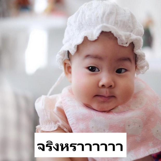 กุ๊บกิ๊บจะว่าไง? เมื่อมีคนทำแบบนี้กับเป่าเปา