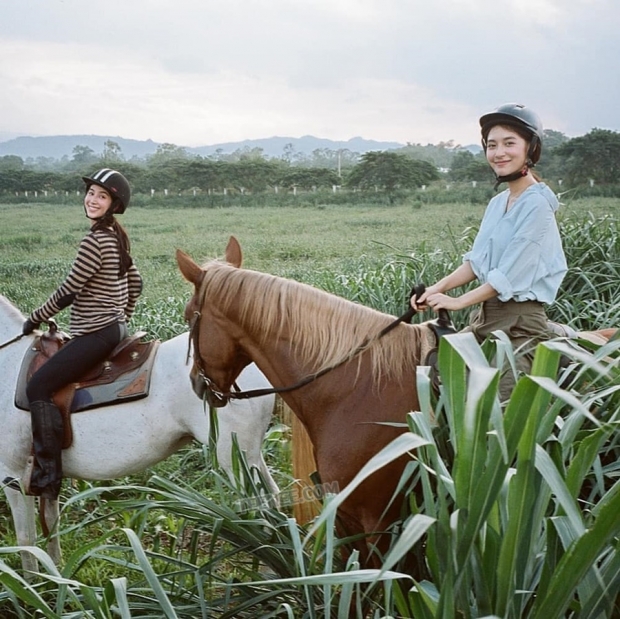 ส่อง มิว นิษฐา พา ไฮโซเซนต์ ตะลุยโบนันซ่า มีเพื่อนซี้ว่าที่สะใภ้เป็นไกด์นำเที่ยว