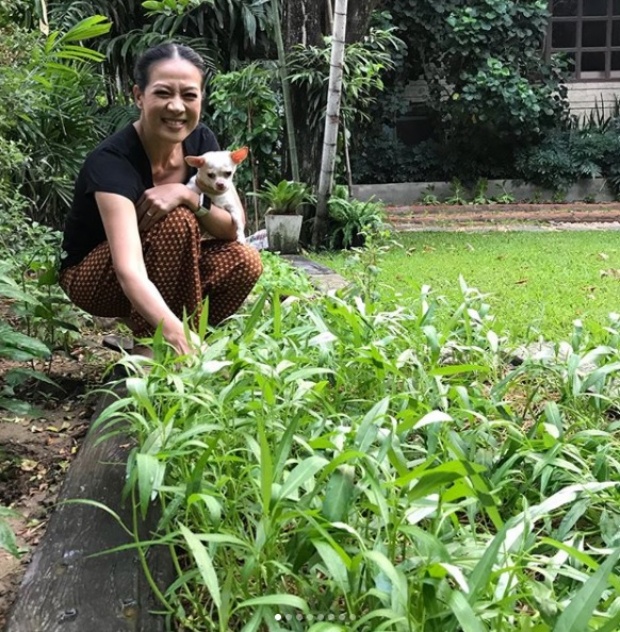 อีกมุมของอดีตนางงาม รวยมหาศาล แต่ใช้ชีวิตเรียบง่าย อยูบ้านปลูกผัก