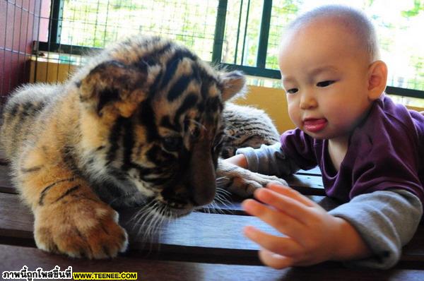 น้องชิโน่ ลูกแม่พลอย ชิดจันทร์ น่ารักสุดๆ