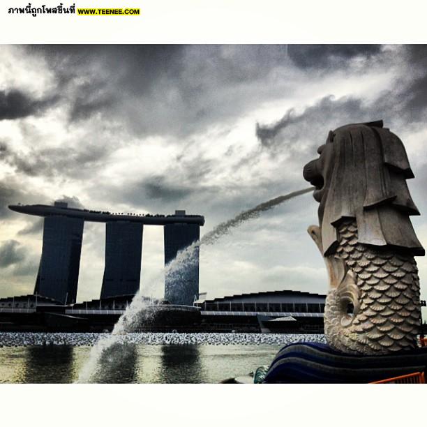 Pic : ตาม อาเล็ก เที่ยวสิงคโปร์กันจ้า~!!