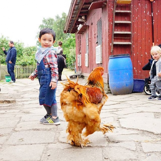 ส่องภาพน่ารัก แพนเตอร์-พูม่า บินไปเยี่ยมคุณปู่-คุณย่าที่เดนมาร์ก!