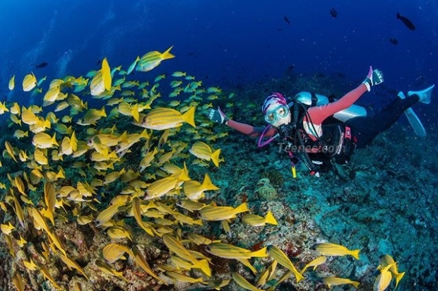 “ไอซ์ อภิษฎา” ขออวดหุ่นสวยรับสงกรานต์ 62  ไกลถึง “Maldives”