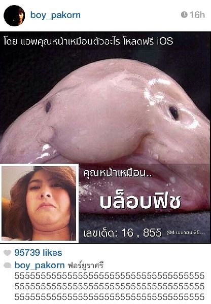 เมื่อดารา-นักร้อง-คนดัง กลายมาเป็นสัตว์ พวกเขาหน้าเหมือนตัวอะไร??