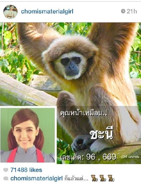 เมื่อดารา-นักร้อง-คนดัง กลายมาเป็นสัตว์ พวกเขาหน้าเหมือนตัวอะไร??