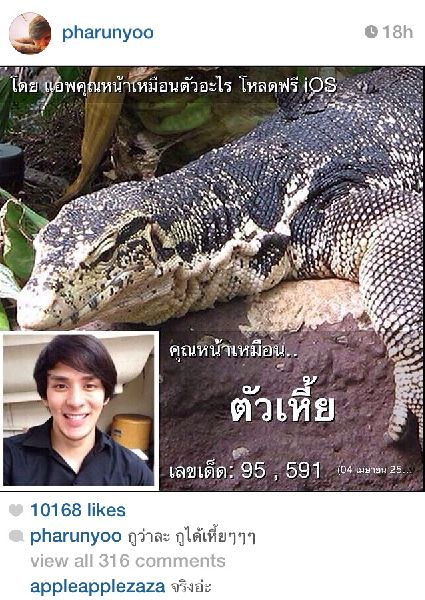 เมื่อดารา-นักร้อง-คนดัง กลายมาเป็นสัตว์ พวกเขาหน้าเหมือนตัวอะไร??