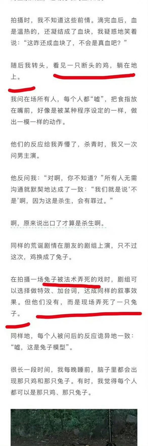 นางเอกแฉกองถ่ายโหด ฆ่าไก่–กระต่าย เพื่อความสมจริง